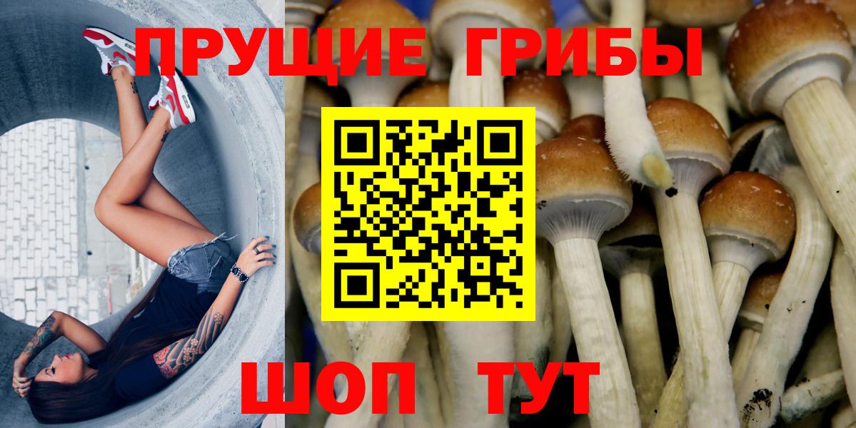 Псилоцибиновые грибы ЛСД  Вход с VPN  Артёмовский 
